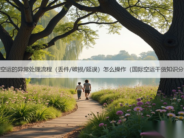 国际空运的异常处理流程（丢件/破损/延误）怎么操作（国际空运干货知识分享）(图2)