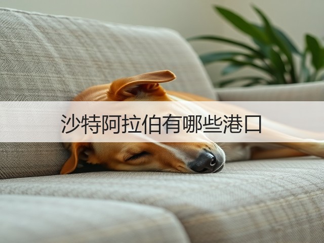 沙特阿拉伯有哪些港口(图3) 沙特阿拉伯有哪些港口(图3)