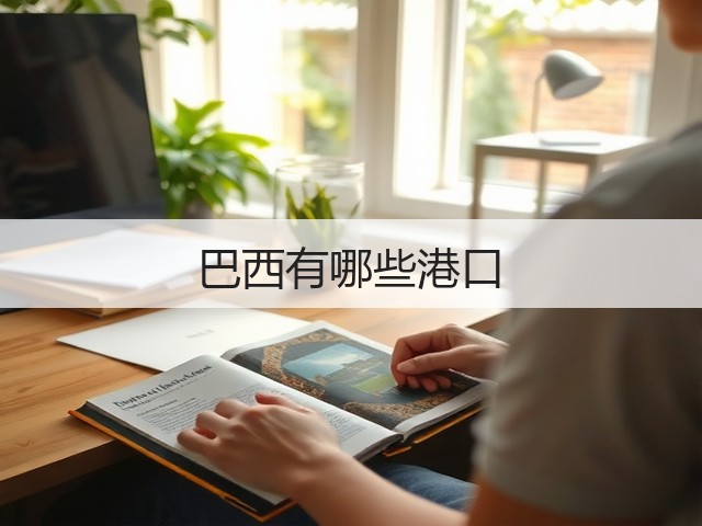 巴西有哪些港口(图1) 巴西有哪些港口(图1)