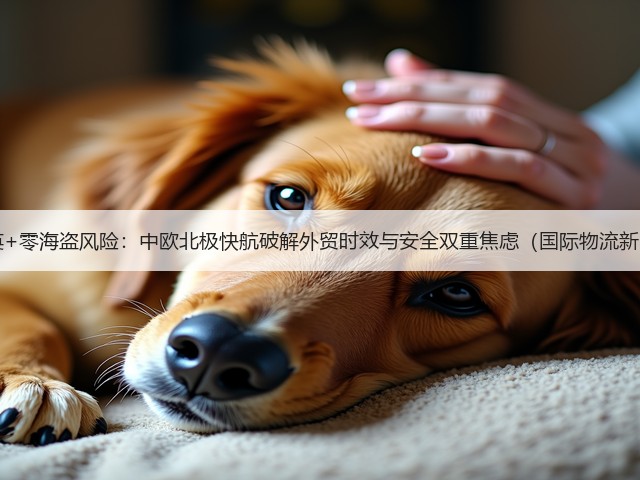 18天抵英+零海盗风险：中欧北极快航破解外贸时效与安全双重焦虑（国际物流新闻资讯）(图3)