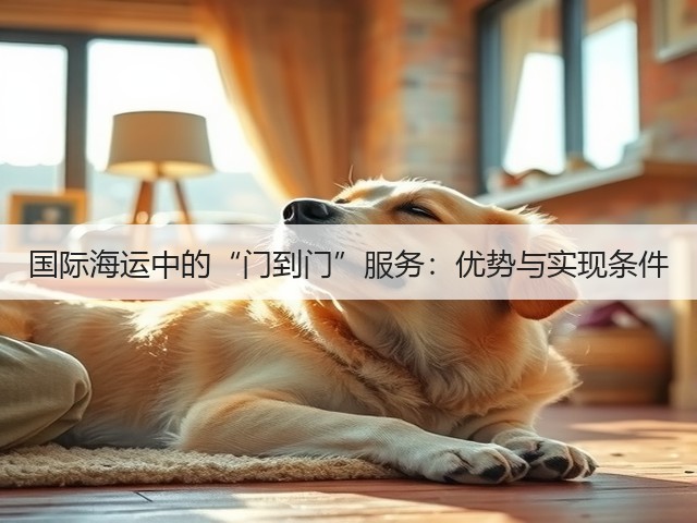 国际海运中的“门到门”服务：优势与实现条件(图1)