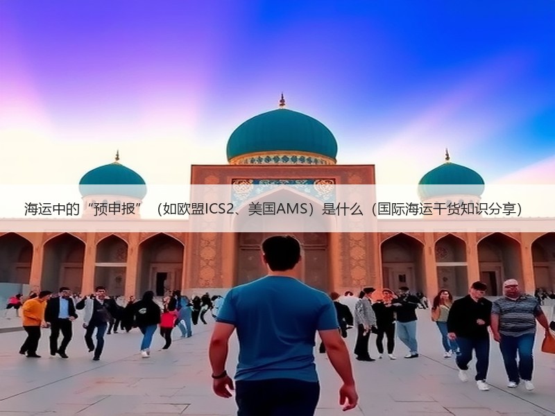 海运中的“预申报”（如欧盟ICS2、美国AMS）是什么（国际海运干货知识分享）