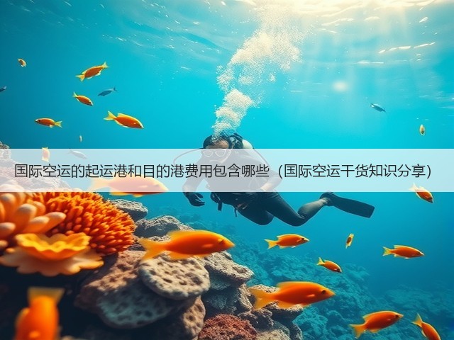 国际空运的起运港和目的港费用包含哪些（国际空运干货知识分享）(图3)