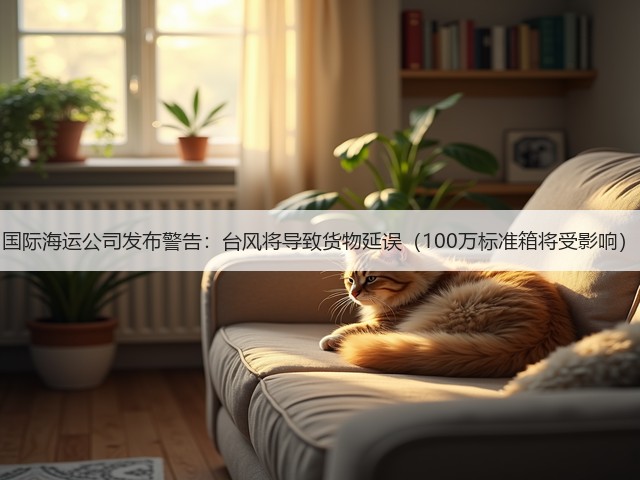国际海运公司发布警告：台风将导致货物延误（100万标准箱将受影响）(图3)