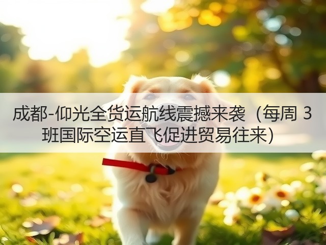 成都-仰光全货运航线震撼来袭(每周 3 班国际空运直飞促进贸易往来)(图3) 成都-仰光全货运航线震撼来袭(每周 3 班国际空运直飞促进贸易往来)(图3)