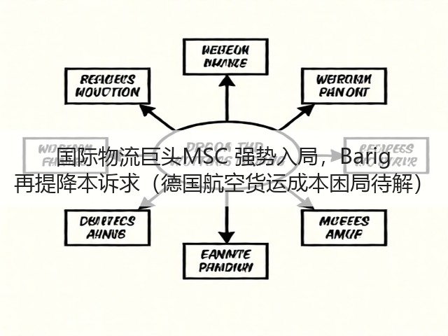 国际物流巨头MSC 强势入局，Barig 再提降本诉求（德国航空货运成本困局待解）(图3)