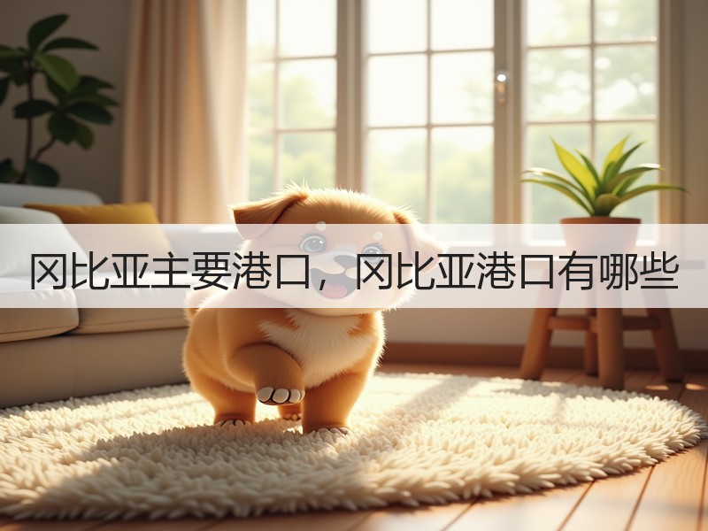 冈比亚主要港口，冈比亚港口有哪些