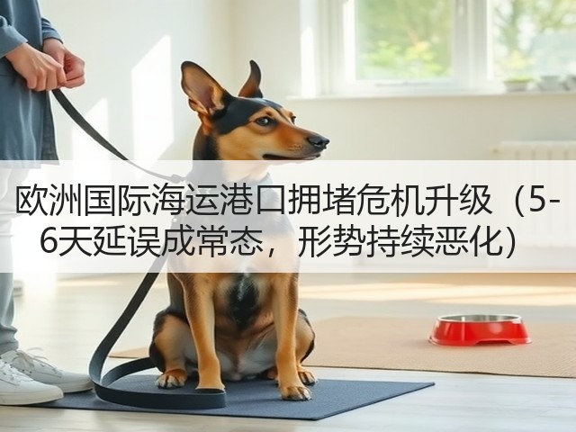 欧洲国际海运港口拥堵危机升级（5-6天延误成常态，形势持续恶化）(图3)
