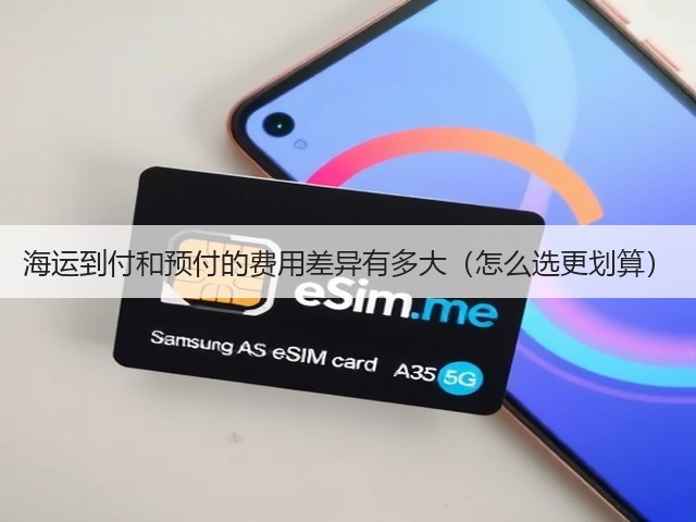 海运到付和预付的费用差异有多大（怎么选更划算）(图1)