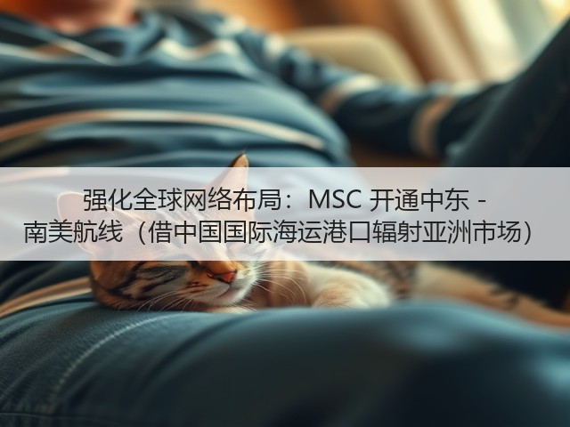 强化全球网络布局:MSC 开通中东 - 南美航线(借中国国际海运港口辐射亚洲市场)(图2) 强化全球网络布局:MSC 开通中东 - 南美航线(借中国国际海运港口辐射亚洲市场)(图2)