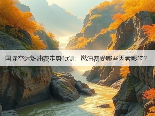 国际空运燃油费走势预测：燃油费受哪些因素影响？(图1)