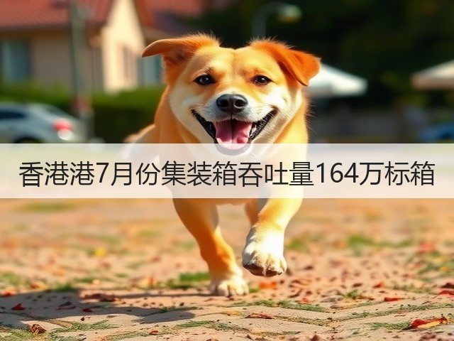 香港港7月份集装箱吞吐量164万标箱(图3)