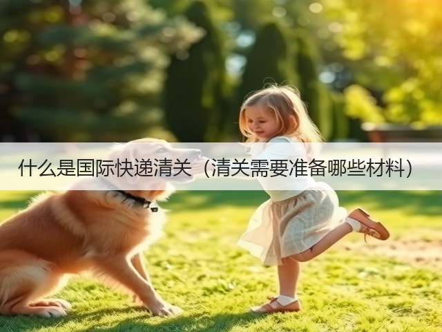 什么是国际快递清关(清关需要准备哪些材料)(图1) 什么是国际快递清关(清关需要准备哪些材料)(图1)