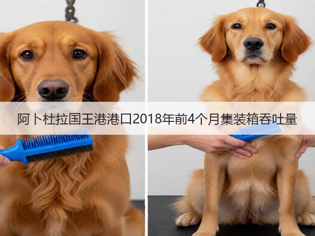 阿卜杜拉国王港港口2018年前4个月集装箱吞吐量(图2)