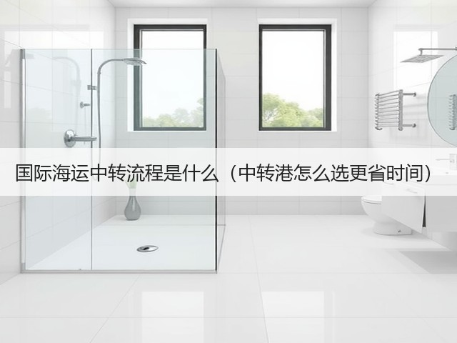 国际海运中转流程是什么（中转港怎么选更省时间）(图3)