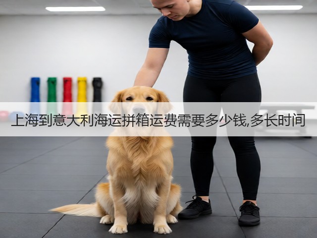 上海到意大利海运拼箱运费需要多少钱,多长时间(图2)