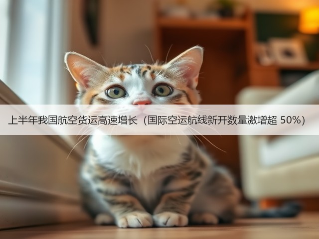 上半年我国航空货运高速增长（国际空运航线新开数量激增超 50%）(图2)