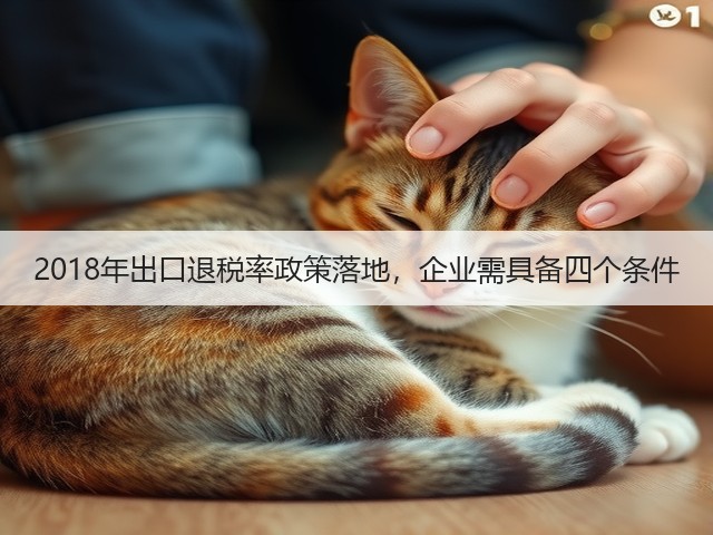 2018年出口退税率政策落地,企业需具备四个条件(图3) 2018年出口退税率政策落地,企业需具备四个条件(图3)
