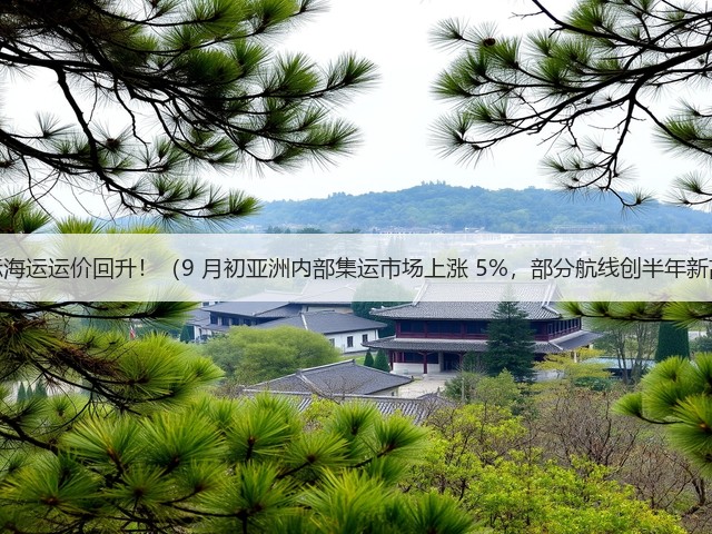 国际海运运价回升!(9 月初亚洲内部集运市场上涨 5%,部分航线创半年新高)(图3) 国际海运运价回升!(9 月初亚洲内部集运市场上涨 5%,部分航线创半年新高)(图3)