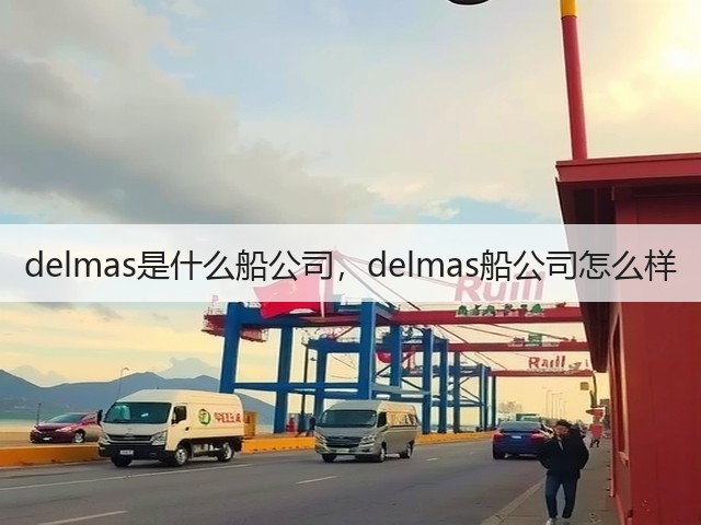 delmas是什么船公司，delmas船公司怎么样(图2)