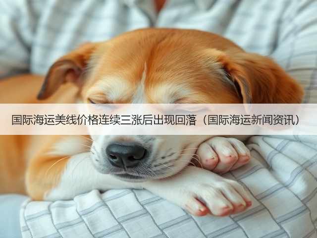 国际海运美线价格连续三涨后出现回落(国际海运新闻资讯)(图3) 国际海运美线价格连续三涨后出现回落(国际海运新闻资讯)(图3)
