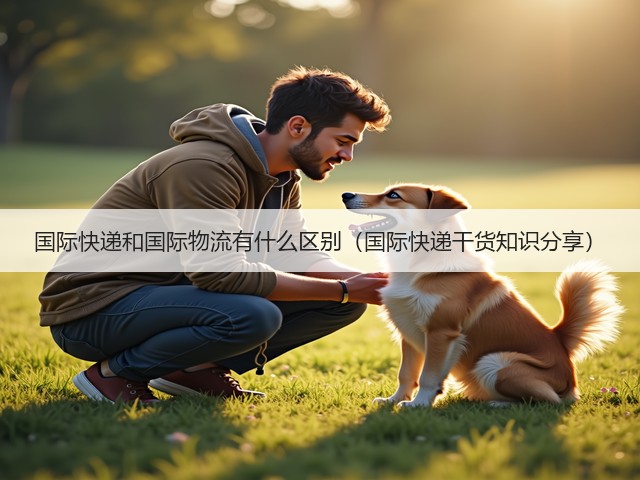 国际快递和国际物流有什么区别（国际快递干货知识分享）(图1)
