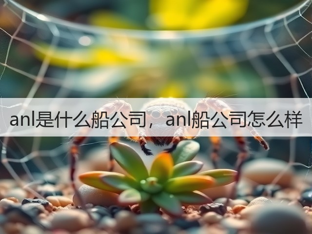 anl是什么船公司，anl船公司怎么样(图1)