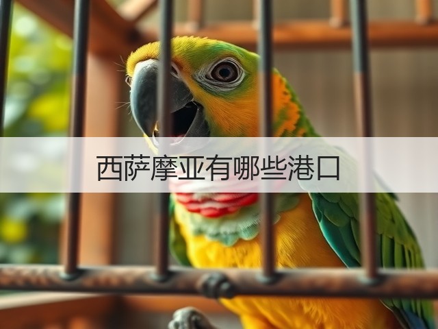 西萨摩亚有哪些港口(图1) 西萨摩亚有哪些港口(图1)
