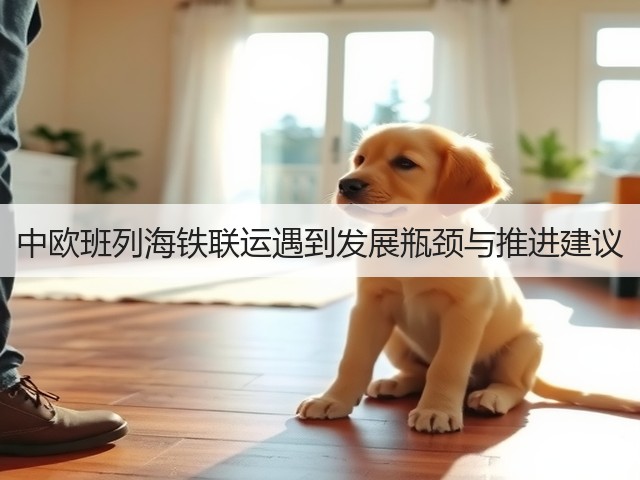 中欧班列海铁联运遇到发展瓶颈与推进建议(图2) 中欧班列海铁联运遇到发展瓶颈与推进建议(图2)