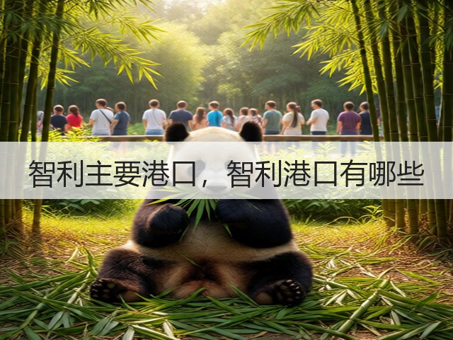 智利主要港口，智利港口有哪些(图3)
