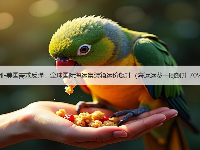 亚洲-美国需求反弹,全球国际海运集装箱运价飙升(海运运费一周飙升 70%)(图1) 亚洲-美国需求反弹,全球国际海运集装箱运价飙升(海运运费一周飙升 70%)(图1)