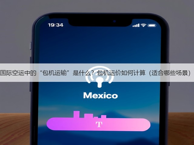国际空运中的“包机运输”是什么?包机运价如何计算(适合哪些场景)(图2) 国际空运中的“包机运输”是什么?包机运价如何计算(适合哪些场景)(图2)