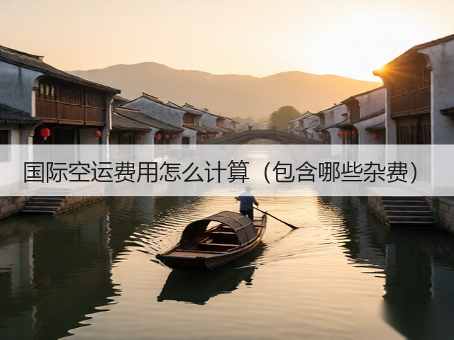 国际空运费用怎么计算（包含哪些杂费）(图3)