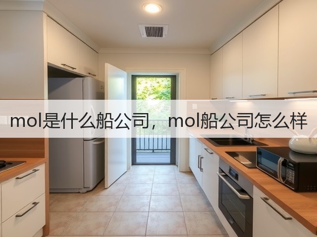 mol是什么船公司，mol船公司怎么样(图3)