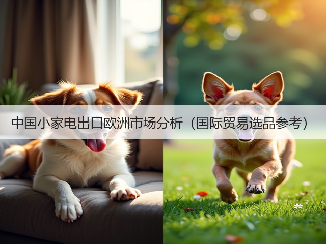 中国小家电出口欧洲市场分析(国际贸易选品参考)(图1) 中国小家电出口欧洲市场分析(国际贸易选品参考)(图1)