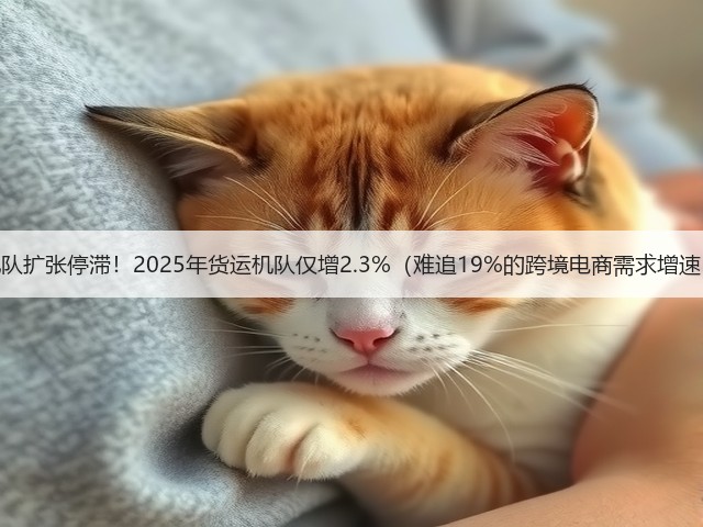 机队扩张停滞！2025年货运机队仅增2.3%（难追19%的跨境电商需求增速）(图2)
