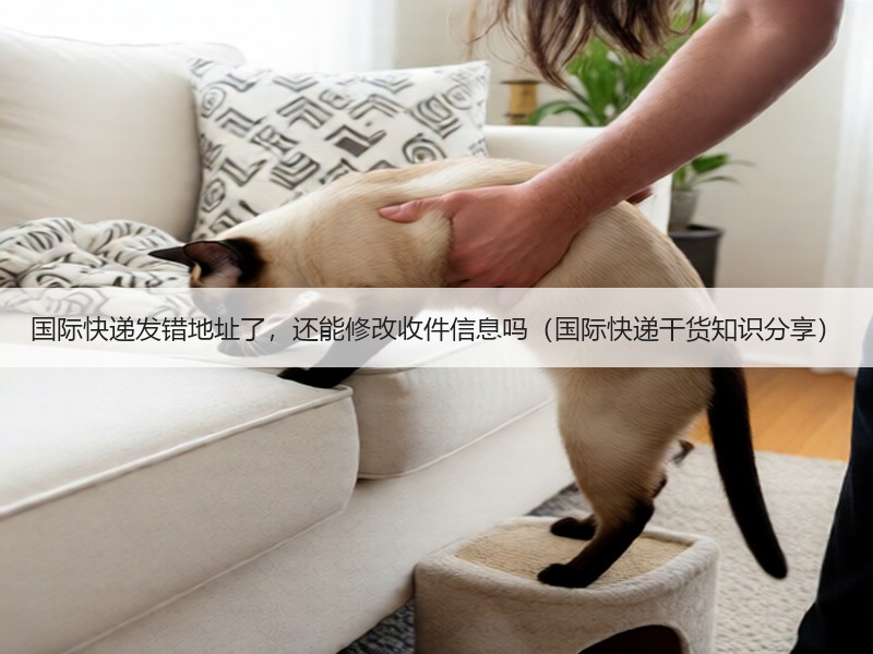 国际快递发错地址了，还能修改收件信息吗（国际快递干货知识分享）