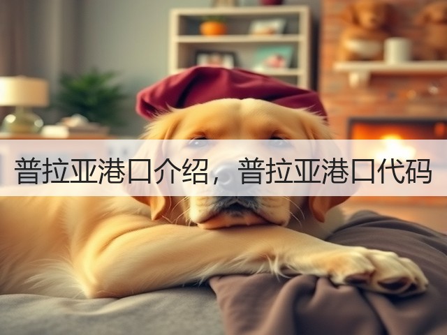 普拉亚港口介绍，普拉亚港口代码(图3)