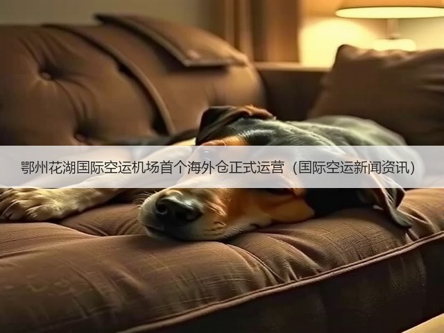 鄂州花湖国际空运机场首个海外仓正式运营(国际空运新闻资讯)(图1) 鄂州花湖国际空运机场首个海外仓正式运营(国际空运新闻资讯)(图1)
