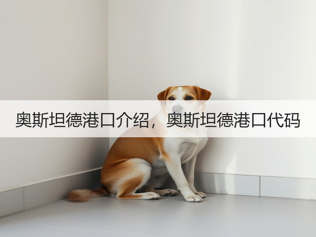 奥斯坦德港口介绍,奥斯坦德港口代码(图3) 奥斯坦德港口介绍,奥斯坦德港口代码(图3)