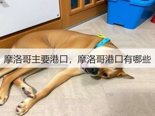 摩洛哥主要港口，摩洛哥港口有哪些(图2)