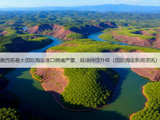 墨西哥最大国际海运港口拥堵严重，延误持续升级（国际海运新闻资讯）(图1)