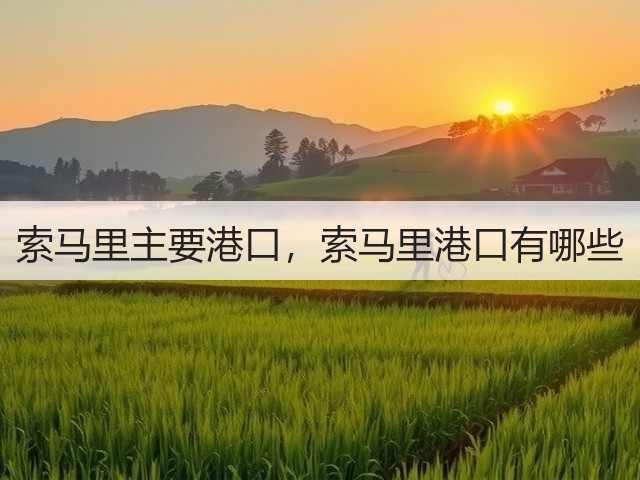 索马里主要港口，索马里港口有哪些(图1)