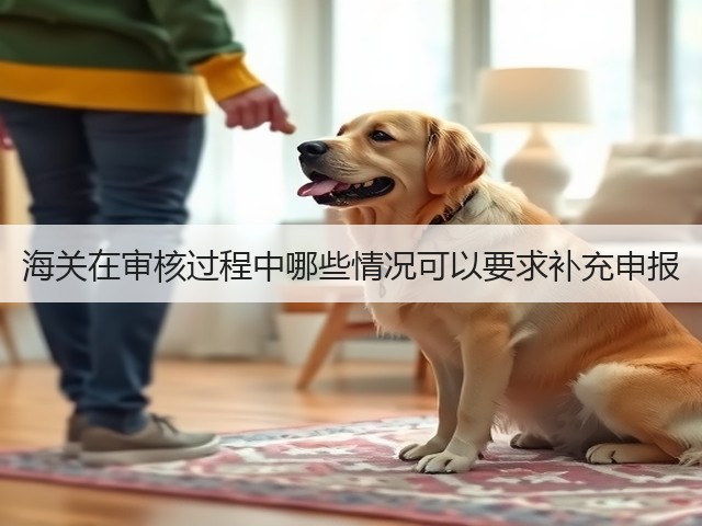 海关在审核过程中哪些情况可以要求补充申报(图1)