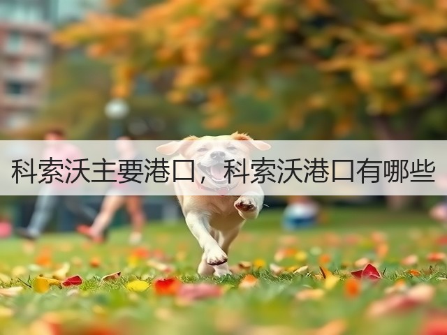 科索沃主要港口,科索沃港口有哪些(图3) 科索沃主要港口,科索沃港口有哪些(图3)