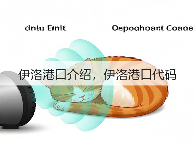 伊洛港口介绍，伊洛港口代码(图1)
