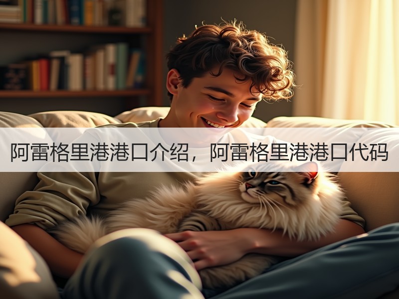 阿雷格里港港口介绍,阿雷格里港港口代码 阿雷格里港港口介绍,阿雷格里港港口代码