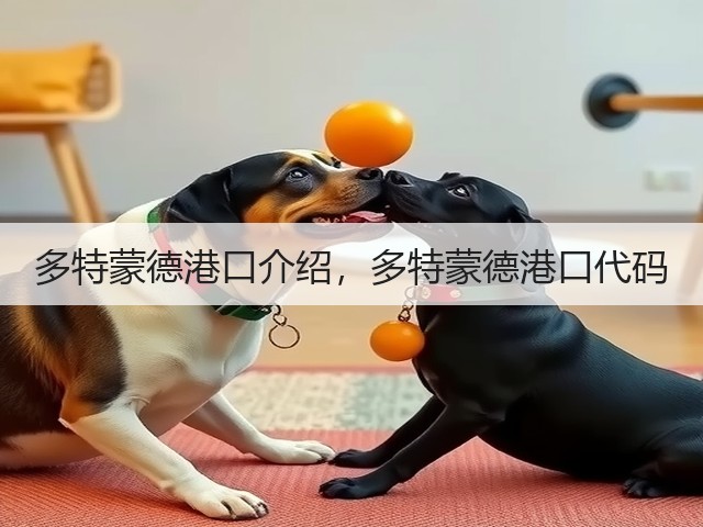多特蒙德港口介绍，多特蒙德港口代码(图2)