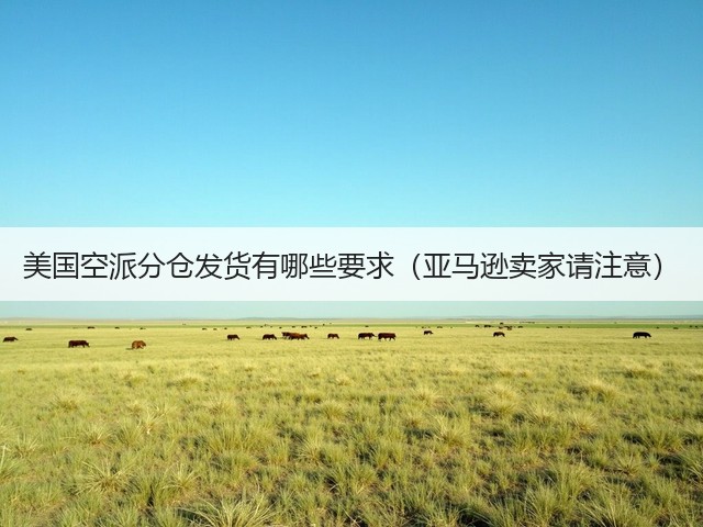 美国空派分仓发货有哪些要求(亚马逊卖家请注意)(图1) 美国空派分仓发货有哪些要求(亚马逊卖家请注意)(图1)