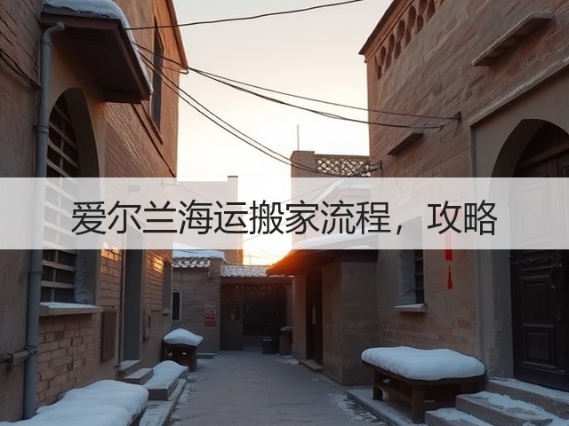 爱尔兰海运搬家流程，攻略(图3)